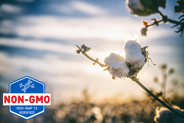 Non-GMO
